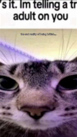 𝓜♥︎♡♥︎ (@madz_mainxx)’s videos with original sound - ~N💋body~