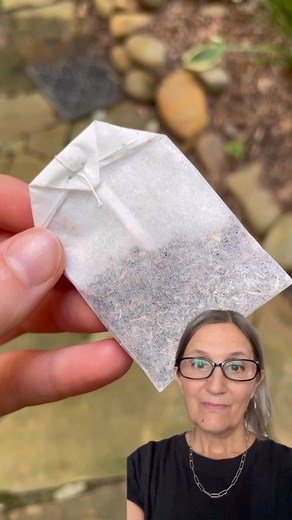 Did you know your regular tea bag might be leaching microplastics into your tea? Not only does loose-leaf tea offer a more flavorful cup, but when paired with a plastic-free tea brewer, it keeps away hormone-disrupting plastic! Make the change for your health and our planet❤️ | Loose Leaf Tea Market