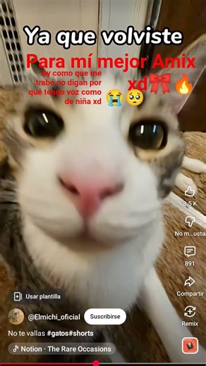 ni modo ni me critiquen por la voz