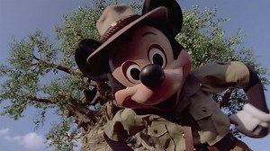 It’s a great day for exploring everything that nature has to offer and taking a wild ride in Kilimanjaro Safaris! Learn more - http://di.sn/61878hI5P | Walt Disney World