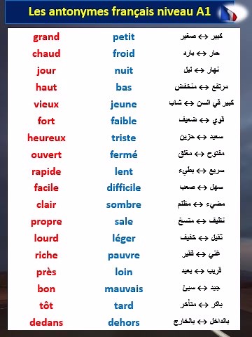 Les antonymes français niveau A1 - ✨ Apprends les contraires en français (niveau débutant) | Apprendre Le Français