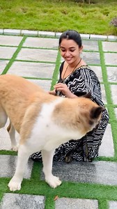 “A dog will teach you unconditional love.” Zera Baby ♥️🐶 #alice #dog #doglover #pets #life #instagood #shorts #reels #tre #trendingreels #viralvideos | Alice Christy Official