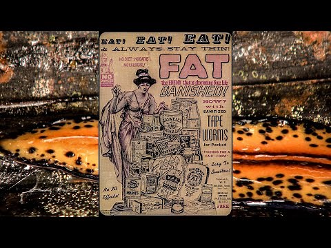 Phylum Platyhelminthes; Flatworms, Flukes, and Tapeworms