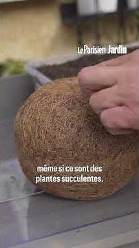 Comment créer un kokedama, la décoration florale japonaise tendance ?