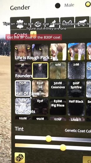 How to Get a KK Pup in WolfQuest!