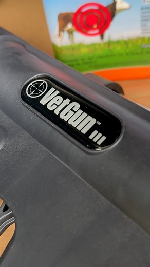 We have to shoot Rescue Bull Gary #flies #rescue #Repellent | Ima Survivor Donkey and Farm Animal Sanctuary