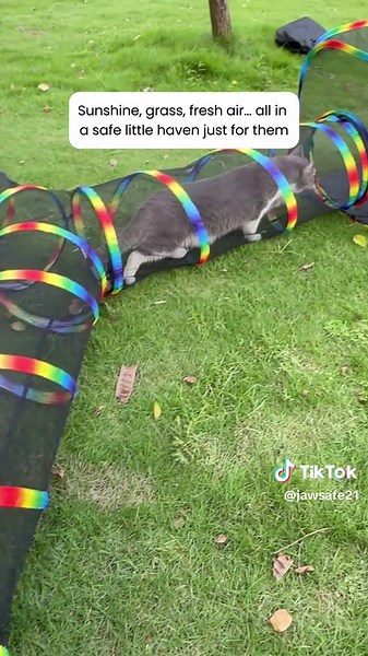 This is her special little space.🐾💛#outdoortent #cattent #foryou #catios #cat