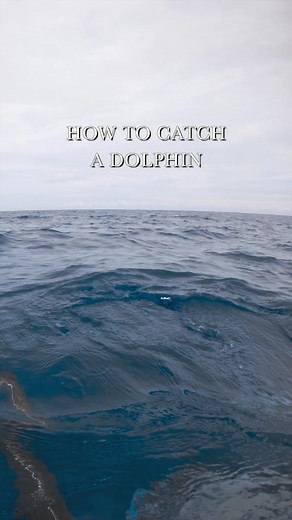 If this doesn’t prove how effective @ThrowFlashers are, I don’t know what will 😅 Grab yours now at throwflashers.com.au and use my code ‘EJC’ for 10% off, unless you don’t want to shoot more fish 😉 I spotted the silhouette of a lone Mahi Mahi (Dolphinfish) way off in the distance, so decided to do a hail mary throw and see what would happen. Sure enough, the fish did a complete 180 and made a straight beeline for it. I can say for a fact that if it weren’t for the throw flasher, there’s zero c