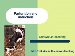 Parturition and induction - SlideServe
