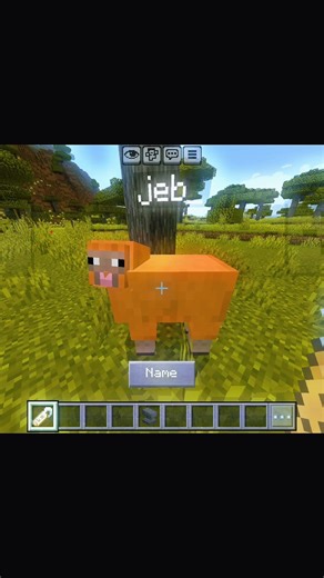 Minecraft rare nametag names 😶‍🌫 #minecraft #shorts #gaming #rare #nametags #funny