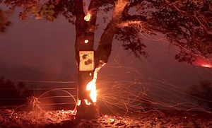 UNNATURAL FIRES — EXPERT ANALYSIS BY FORENSIC ARBORIST ROBERT BRAME