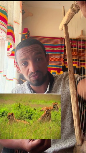 Welcome To The Lands Origin #ethiopia