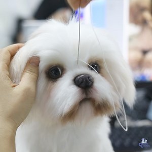 161K views · 128 reactions | Now you can get a 헖헨헦헧헢헠 헦헧헨헙헙험헗 헔헡헜헠헔헟...