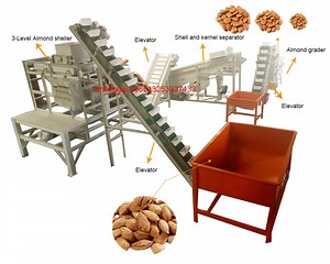 [Hot Item] Almond Nuts Cracking Machine / Almond Shell Kernel Separating Machine / Almond Cracking and Shelling Machine