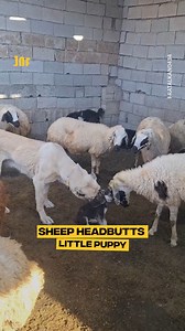 Poor baby 😌 | Comedy JOE