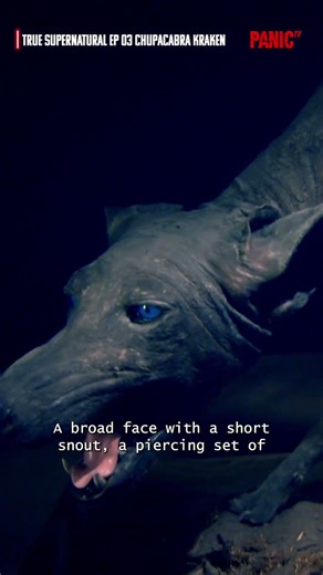 Three Samples. One Terrifying Truth. True Supernatural Ep3 #paranormalactivity #ghoststories