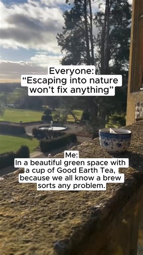 Nothing like a good brew to brighten your day! ☕️✨ What’s your go-to tea for those moments of relaxation? #GoodEarthTea #SipSustainably | Good Earth UK