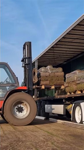 Truck Loading Grass Turf #pov