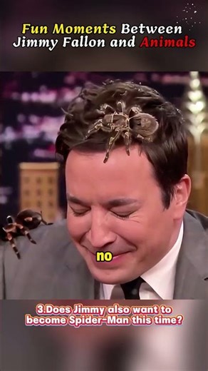 Fun Moments Between Jimmy Fallon and Animals