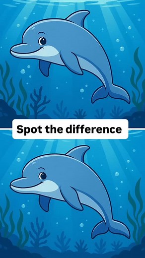 39 reactions · 3 comments | Two playful dolphins swimming peacefully...