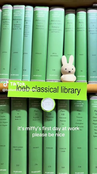 Miffy's First Day at the Library Adventure