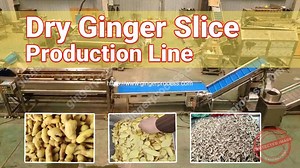 Automatic Dehydrated Ginger Slice Production Line | Ginger Processing Machine Manufacturer and Supplier