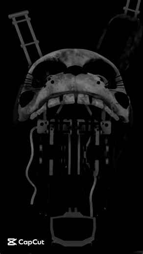 Vhs #3 Ignited Springbonnie