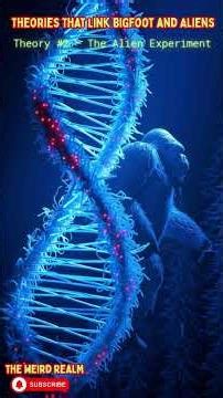 Bigfoot's Hidden Portal Mystery!