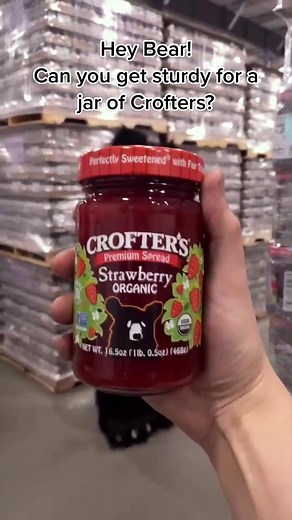 Bear Gets Sturdy for Crofters Jam