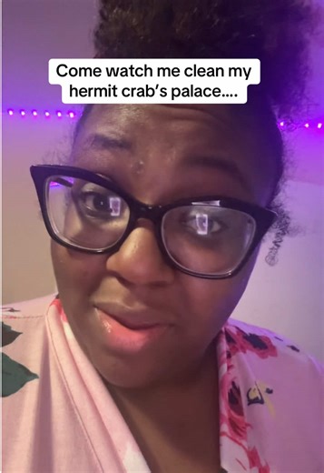 Cleaning Up After My Hermit Crabs