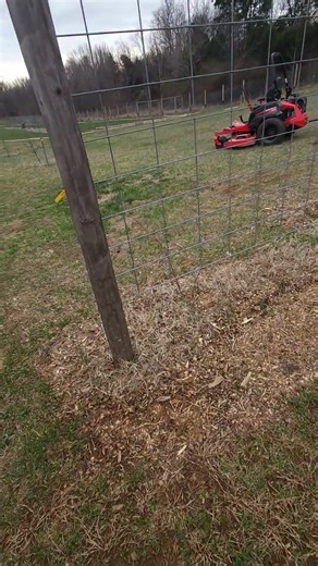 EP 1: Planning Our Raspberry Expansion 🌿 Current Plants + Where New Ones Will Go