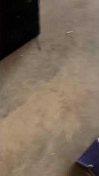 2008 Pontiac G6 Starter Replacement