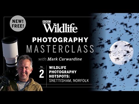 Episode Two. Wildlife hotspots: Snettisham Nature Reserve, North Norfolk | Photography Masterclass