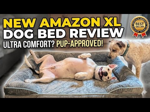 New XL dog bed for the puppies from Amazon!