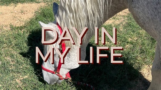 My Everyday Life: Small Moments That Matter