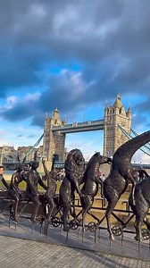 35K views · 728 reactions | Have you ever seen an elephant or a...