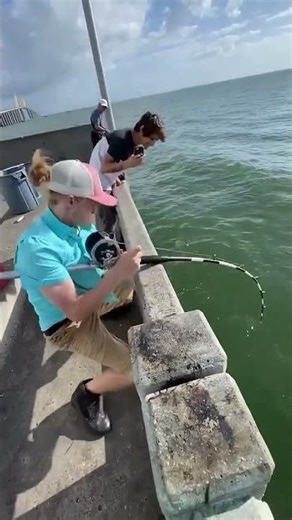 💪 Catching a MONSTER Grouper From Under the Pier!! 😱🐟This beast