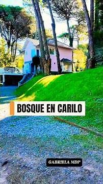 🍁 Cariló como nunca lo viste 🍃 AYER 04 de MAYO 2026