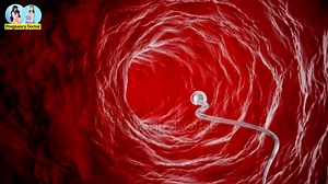 2.8K views · 21 reactions | Pregnancy Doctor on Reels | Facebook