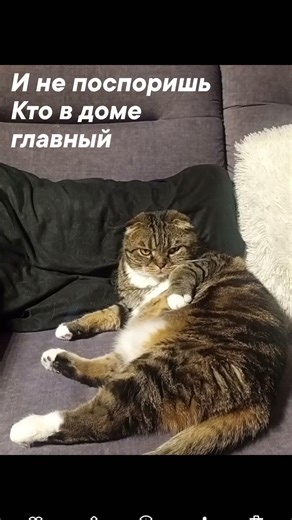 4 апреля 2026 г.