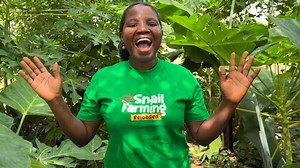 Final video for snail farming reloaded!!!! Thank you lord 🙏. . We now have courses for every target market. . You want start snail farming using old car tyres? We gat you! . You want to use an hutch box? We have a class for you! . You want go commercial with trench pens? We have a class for you. . You want to operate a natural habitat? We have a seat for you at the farm. . Thank you Holy Spirit for divine inspiration. . Thank you for trusting me to teach you what i know ! . Registration closes 