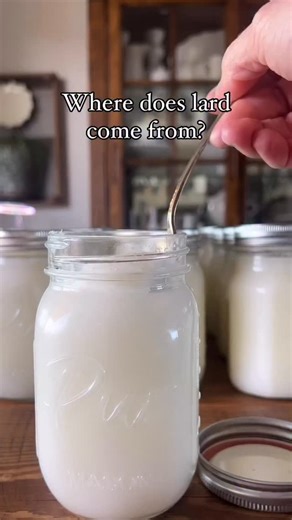Hint: it’s not petroleum or plant-based! Lard is a smooth, neutral, and creamy animal fat perfect for baking, grilling, frying, and even flaky pie crusts! This melted fat is solid at room temperature and liquid when warm. Lard also shelf stable! Perfect for your long term food storage preps. When we were considering adding pigs to our homestead, we spent several months weighing the pros and cons of various breeds. We really wanted both meat and fat, so we went with a smaller breed of pig called 
