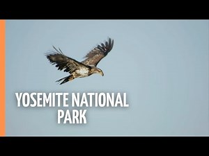 A place of superlative - Yosemite National Park | Full Documentary
