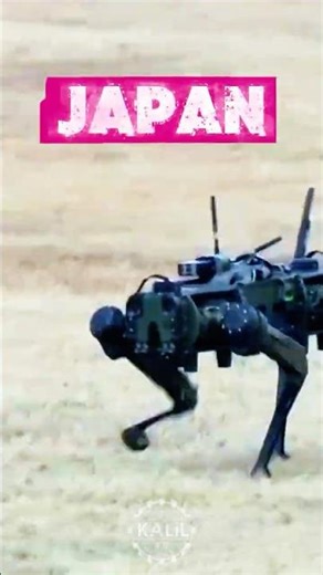 Japan's Military Robot Dogs Train to Protect Paratroopers #airobot #robot #robotics #defensetech