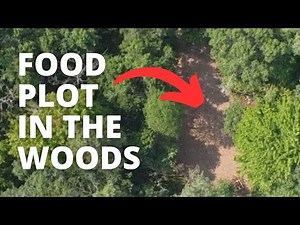 How To Grow Food Plots In The Woods The Easy Way