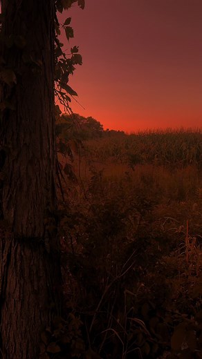 Explore Beautiful Autumn Fall Scenery