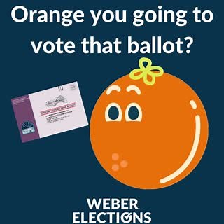 Orange, you going to vote that ballot? Ballots must be in a ballot drop box by 8pm TONIGHT! #weberelections #fruitpuns #memes #vote #utpol | Weber County Elections