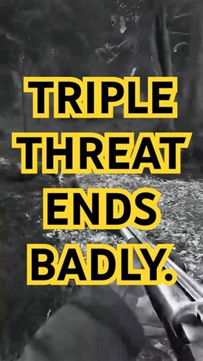 I Ran Into a Trio And It Ended Badly For Them.