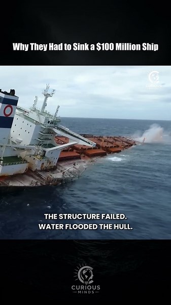 Why Did They Sink a $100M Ship on Purpose?