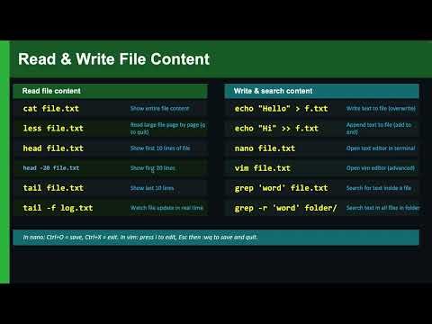 Linux Basic Command (Read & Write File Content), Exercise